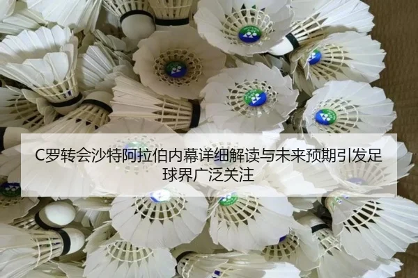 C罗转会沙特阿拉伯内幕详细解读与未来预期引发足球界广泛关注