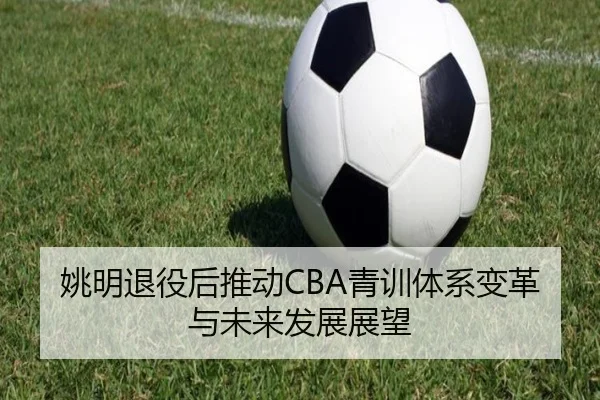 姚明退役后推动CBA青训体系变革与未来发展展望